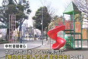 「俺の女に何してんだ」ネコの世話をしていた40代男性を殴り朱印帳を奪う　21歳男ら逮捕