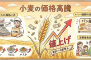 小麦売り渡し価格12%引き上げ 国際相場高や円安を反映。パンや麺類にも値上げ圧力が強まる可能性