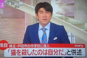 【戸田市】逮捕の少年「猫を殺したのは自分」