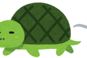 『亀』とかいうテキトーに飼っても長生きする生物ｗｗｗｗｗ