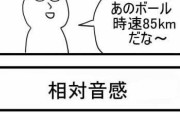 絶対音感じゃない超絶無能な音感持ってる奴って俺以外にいる？