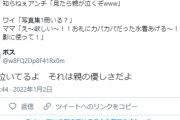 【悲報】Twitter裏垢女子「写真見て！」ワイ「親が泣いてるよ。」裏垢女子「クソリプおじさんｗ」
