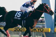 【訃報】ノボトゥルー死亡　2001年フェブラリーS覇者