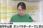 高知、ルヴァンカップの影響で町中にガンバサポが溢れニュースになるｗｗ