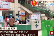 【速報】中国で正体不明のウイルス性肺炎が発生、人から人への感染は無し