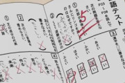 【衝撃】国語ができない一部の子はテストで○○して問題を解こうとする模様　どういうことなのこれ・・・