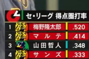 【悲報】山田哲人さん、４匹の虎に囲まれる