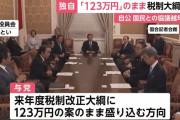 政府与党、123万の壁で2025年へ協議持ち越しへwwwwwwwwwwwwwwwwwwwwwwwwwww