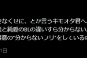 【悲報】フェミさん「キモオタ君へ。萌え絵は性暴力。BLは純愛。この違いも分からないんですか？」