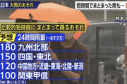 【速報】NHKニュース7さん、大雨の街中でとんでもない男女を激写してしまう（画像あり）