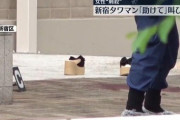 タワマン女子の現場にいたUberアルバイトが5chに降臨「おっさんが若い女にナイフでグサグサやってた」