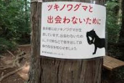 【速報】東京都で『クマに食われた可能性のある死体』見つかる