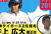 【悲報】履正社岡田監督「井上は通用しない」