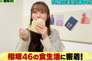 【櫻坂46】田村「豆腐に〇〇！」 武元「ラーメンに〇〇！」 森田「酸っぱい〇〇！」・・・