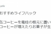 韓国人「日本人が考えた『貧乏学生におすすめライフハック』がマジでヤバ過ぎた‥（ﾌﾞﾙﾌﾞﾙ」　韓国の反応