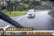 相次ぐ高齢ドライバー事故…“逆走車”と正面衝突　「ハネムーン目前」で夫婦悲痛