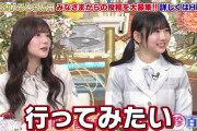 【日向坂46】ひなちゃんのテキトーがバレてるｗ
