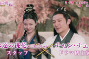 [無料動画]中国ドラマ「運命の桃花～宸汐縁～」｜BS12
