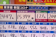 東京､新たに2447人が新型コロナに感染  ヤバスギでしょｗｗｗｗ