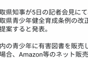 【悲報】鳥取県「CEROZのゲームを18歳未満に売ったら罰則な」←ゲーマー達がブチ切れして大炎上ｗｗｗｗｗｗ