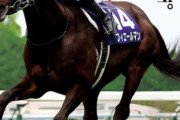 【競馬】　フィエールマンのヒーロー列伝が完成