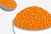【魚卵】　イクラ、寿司か丼にするしか使い道がない