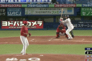 ヤクルト・塩見、同点の２点タイムリーｗｗｗｗｗｗｗｗｗ