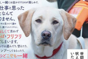 世間の人「盲導犬ってかわいそうだよね」盲導犬協会「！！(ｼｭﾊﾞﾊﾞﾊﾞﾊﾞ」 （※画像あり）