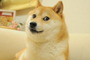 【訃報】世界的なミーム犬doge、亡くなる