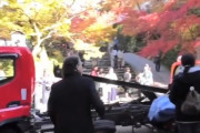 【衝撃】無人のトラックが紅葉狩り中の人混みを通り抜け木に激突（＊動画あり）