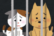 【有能】小泉進次郎「犬や猫の遺棄を防ぐためにマイクロチップの義務化 2022年6月の未来から」