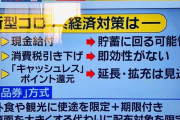 政府「現金給付、減税、キャッシュレス還元はしない。旅行・外食に限定の商品券（期限つき）を配布」
