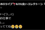 【ホロライブ】スバル仕事で配信休むって言ってたけどルーナもか、何かあるのかな