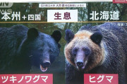 「クマを殺すな」「かわいそう(号泣)」「保護すべき」 秋田県知事「感情論が多い」