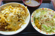 チーズ牛丼ってそんなうまいか？