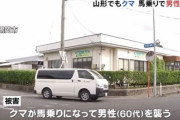 【山形】クマ 馬乗りで男性襲う　通報者「尋常なさけび声じゃないから、事務所から飛び出した」