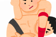 プロレスがヤラセって逆に凄いよなｗｗｗｗｗｗｗｗｗｗｗｗ