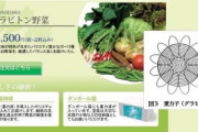 【悲報】水素水！血液クレンジング！『グラビトン野菜』←New！