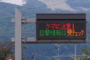 「目が痛くて数秒も見ていられない」福島県の山を覆う“9万6000枚”の太陽光パネルに地元住民が悲鳴