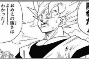 【ドラゴンボール】セルゲームの悟空→セルと適当に戦う→セルに仙豆を渡して後は悟飯に丸投げ
