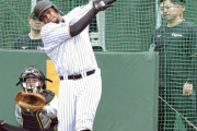 【朗報】ヘルナンデス12発　野口13発　阪神大砲揃いに