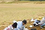 【悲報】鳥取砂丘「除草ボランティア募集」