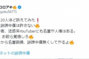 【悲報】私人逮捕系YouTuber「誹謗中傷で20人ほど訴えてみた！お前ら覚悟しろ」
