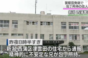 【悲報】警察官さん、包丁を持って襲いかかってきた精神患者を撃ち殺す