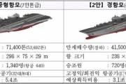 韓国人「韓国海軍7万トン級の大型空母導入が有力！」４万トンと7万トンを検討し、7万トンに決まる可能性　韓国の反応