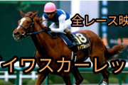 なんでダイワスカーレットって競馬ファンからいまいち評価低いの？