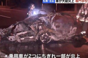 【悲報】電柱さん、自らの命をかけ車を２つにちぎる