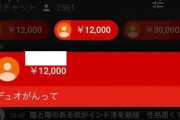【悲報】子どもが200万円超をTwitchで投げ銭してしまった事例が発生…