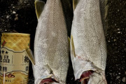 お魚釣れたからかお前らの集合知を借りたい