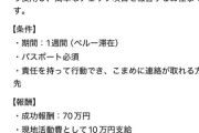 彡(^)(^)「ペルーから帰ってくるだけで70万円！？行きます！」